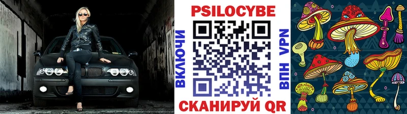 Галлюциногенные грибы Magic Shrooms Кремёнки