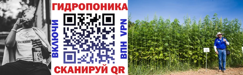 ОМГ ОМГ как войти  Кремёнки  МАРИХУАНА Bruce Banner 